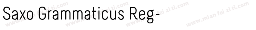 Saxo Grammaticus Reg字体转换